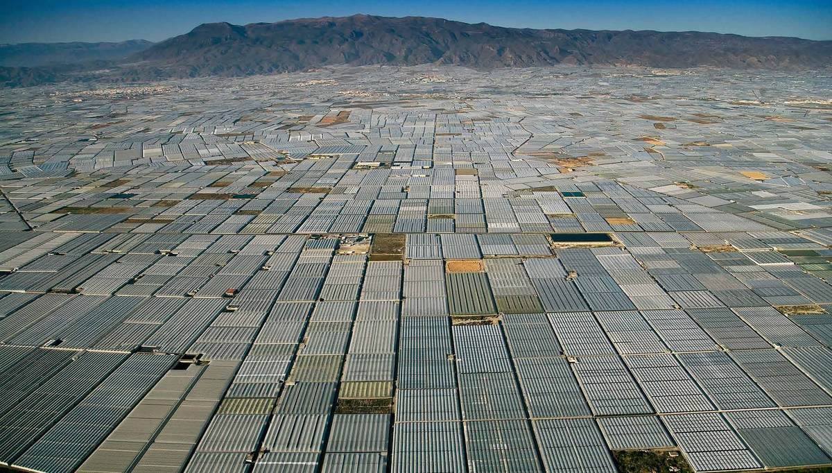 Plastic field background